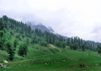 Solang Valley