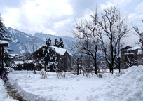 Manali