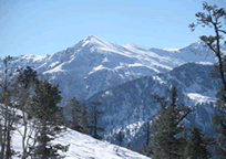 Manali